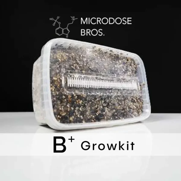 B+ GrowKit - Zestaw do uprawy