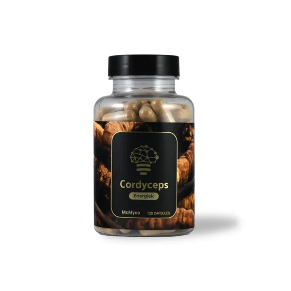 Cordyceps - Ekstrakt - 120 kapsułek