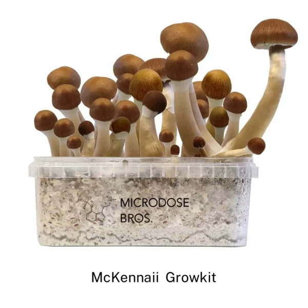 McKennaii GrowKit - Zestaw do uprawy - obrazek 2