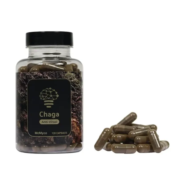 Chaga - Ekstrakt - 120 kapsułek