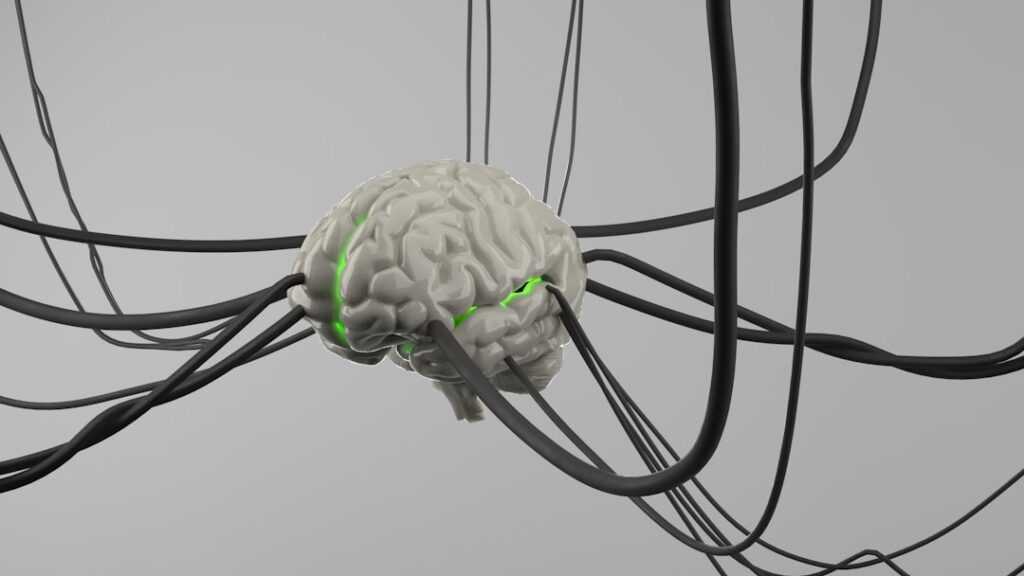 Photo Brain receptors