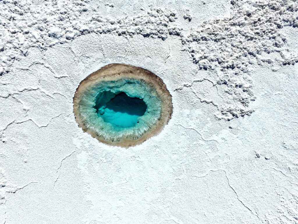 Photo ayahuasca