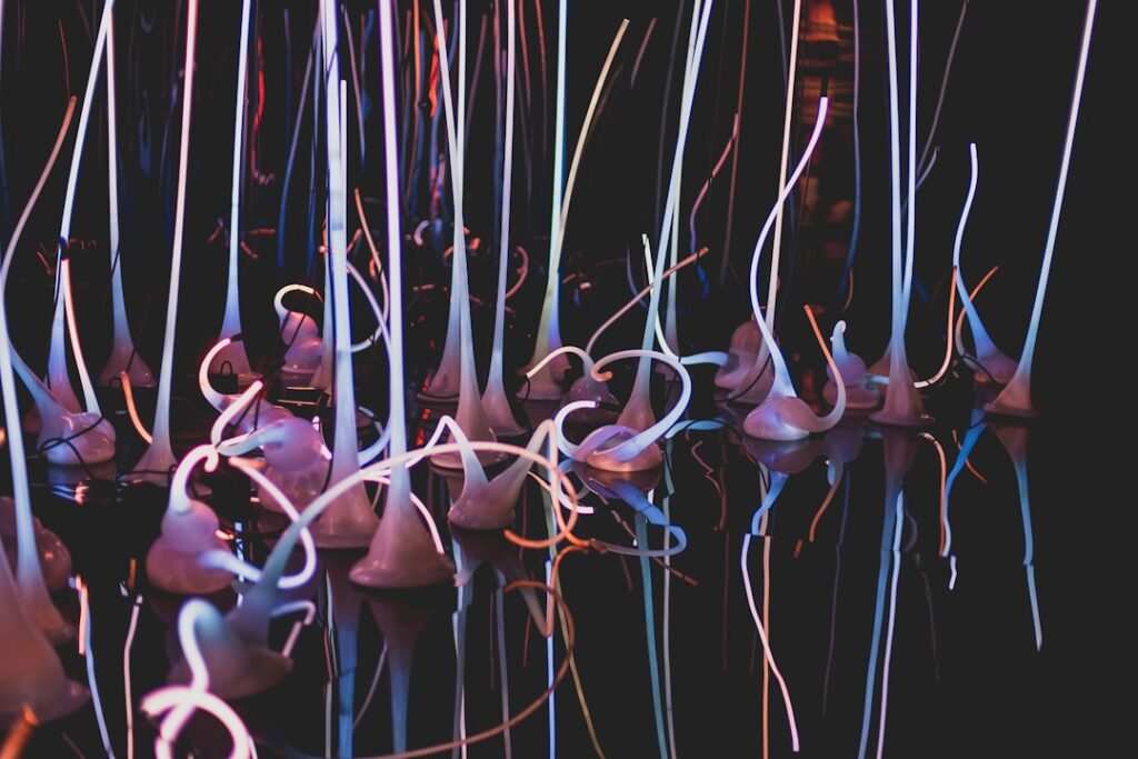 Photo neuroplasticity